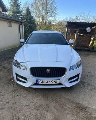 Jaguar XF cena 63000 przebieg: 137000, rok produkcji 2017 z Białystok małe 37